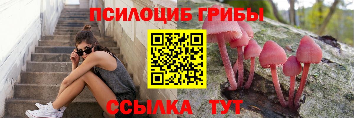 Псилоцибиновые грибы GOLDEN TEACHER  Вход с VPN  Саянск 